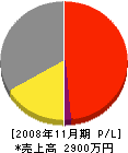 土田アルミ 損益計算書 2008年11月期