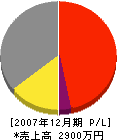 阿讃緑地 損益計算書 2007年12月期