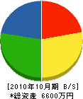 大槻ポンプ 貸借対照表 2010年10月期