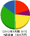 坂巻工業 貸借対照表 2012年9月期