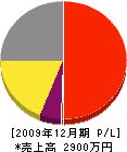 横田塗装店 損益計算書 2009年12月期
