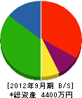 富沢塗装工業 貸借対照表 2012年9月期