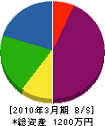 永瀬電設 貸借対照表 2010年3月期