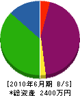 大島建設 貸借対照表 2010年6月期