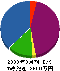 千葉電業所 貸借対照表 2008年9月期