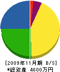 豊通信 貸借対照表 2009年11月期