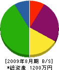 竹内工務店 貸借対照表 2009年8月期