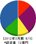 東京システム特機 貸借対照表 2012年3月期