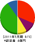 日東 貸借対照表 2011年5月期