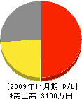 村永設備工業 損益計算書 2009年11月期