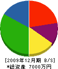 姫子建設工業 貸借対照表 2009年12月期