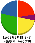 大塚建設 貸借対照表 2009年5月期