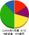 富山電気ビルディング 貸借対照表 2009年3月期