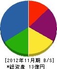 田中電設 貸借対照表 2012年11月期