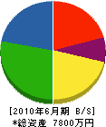 中澤電工 貸借対照表 2010年6月期