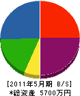 ヤマサキ装飾 貸借対照表 2011年5月期