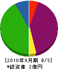 アクティブジャパン 貸借対照表 2010年9月期