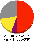 橋口木工所 損益計算書 2007年12月期