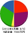 渡辺水道 貸借対照表 2012年6月期