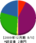 サンデック 貸借対照表 2009年12月期