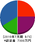 KENSHO 貸借対照表 2010年7月期 KENSHO 貸借対照表 2010年7月期