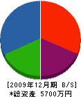 佐野林業 貸借対照表 2009年12月期