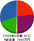 丸雄土建 貸借対照表 2009年6月期