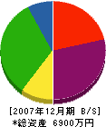 山本建設 貸借対照表 2007年12月期