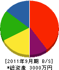 米子丸永 貸借対照表 2011年9月期