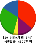 静岡緑化 貸借対照表 2010年9月期