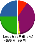 向工業 貸借対照表 2009年12月期