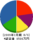高橋鉄工場 貸借対照表 2009年3月期