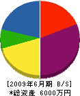 鈴木産業 貸借対照表 2009年6月期