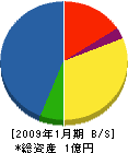 渡辺工業 貸借対照表 2009年1月期