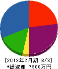 木村左官工業 貸借対照表 2013年2月期