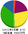 昭和塗装 貸借対照表 2012年6月期