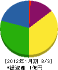 羽入商会 貸借対照表 2012年1月期