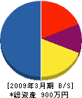 井手電気 貸借対照表 2009年3月期