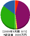 石村電気 貸借対照表 2009年9月期