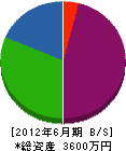 渡辺造園 貸借対照表 2012年6月期