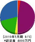 小澤建材 貸借対照表 2010年5月期