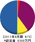 辻野電気工業 貸借対照表 2011年4月期