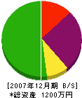 宮川塗装店 貸借対照表 2007年12月期