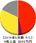 西日本建設 損益計算書 2010年6月期