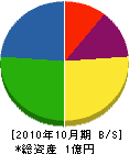 菱丸商会 貸借対照表 2010年10月期