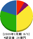 大垣ケーブルテレビ 貸借対照表 2009年3月期