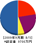 ウォン 貸借対照表 2009年9月期