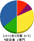 鈴木特殊土木 貸借対照表 2012年9月期