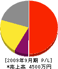 大竹電機 損益計算書 2009年9月期