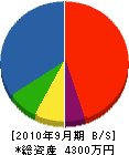 加藤電気商会 貸借対照表 2010年9月期